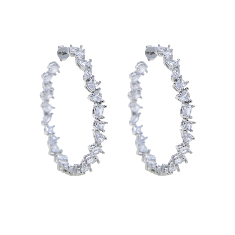 Various Shaped Hoop Earrings