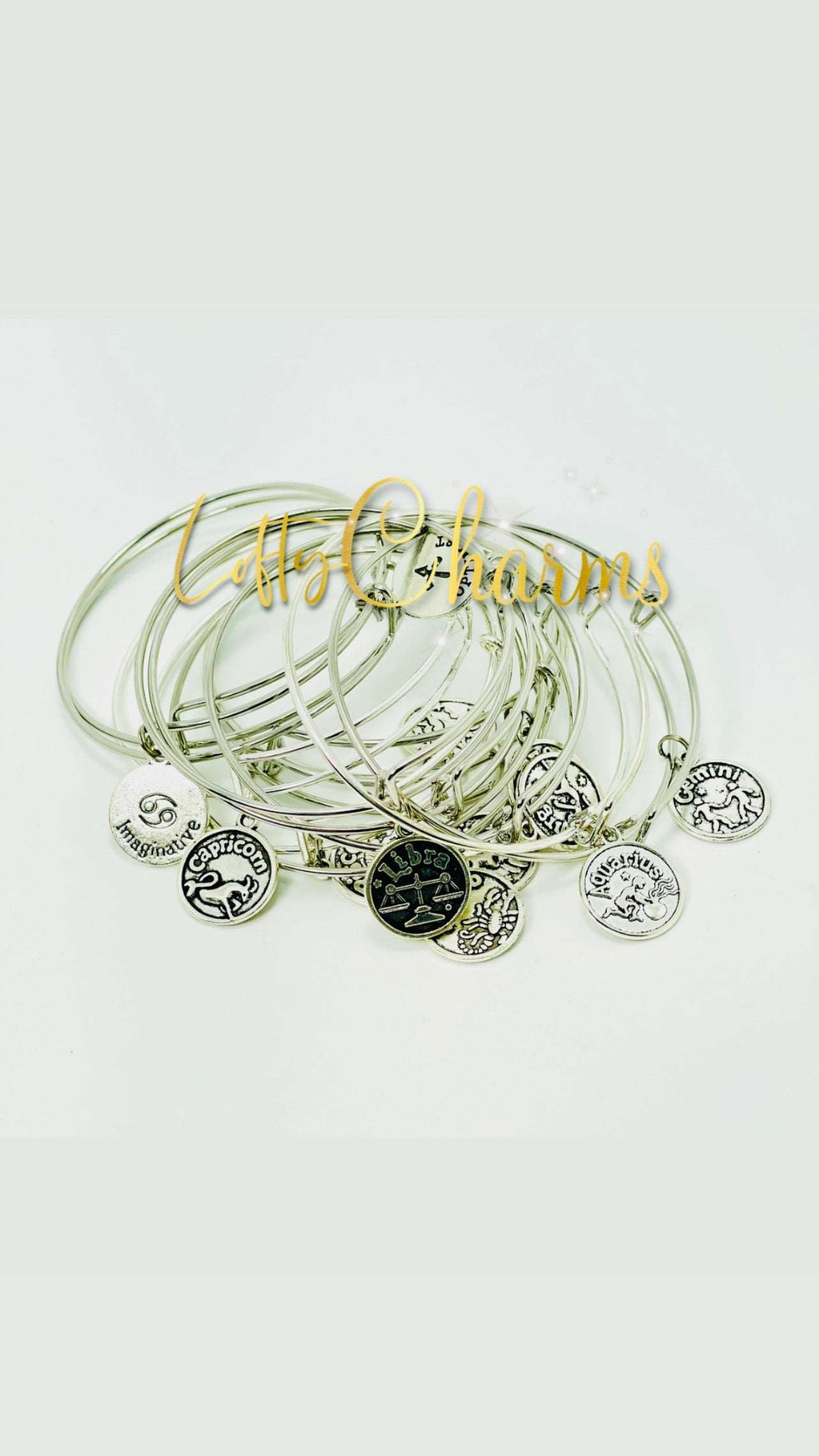 Silver Basic Zodiac Bangles